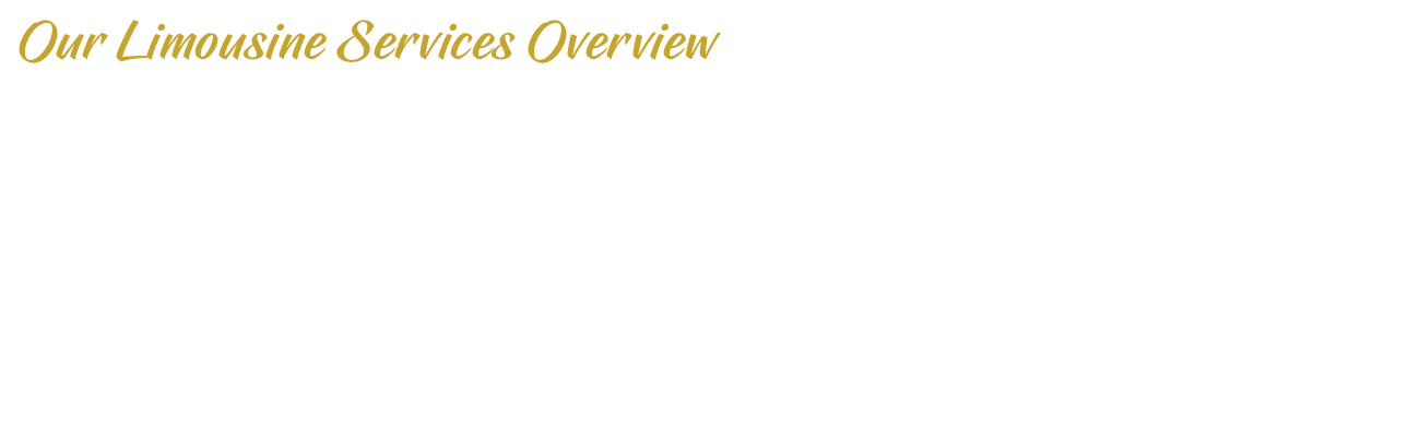Our Limousine Services Overview | Overlay | D.G. Transportation Limousine Service