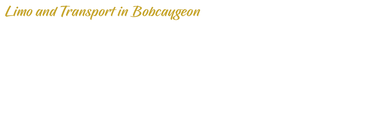 Limo and Transport in Beaverton | Overlay | D.G. Transportation Limousine Service