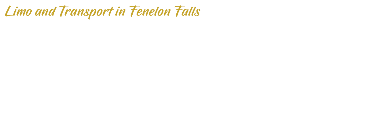 Limo and Transport in Fenelon Falls | Overlay | D.G. Transportation Limousine Service