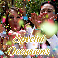 Special Occassions | D.G. Transportation Limousine Service